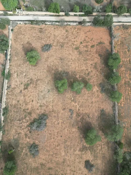 Finca in Llucmajor — photo 3