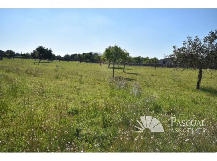 Finca with sea views and approved project in Santa Margalida — photo 8