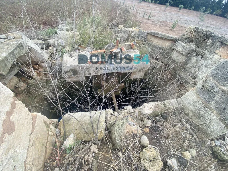 plot in Sa Pobla — photo 9