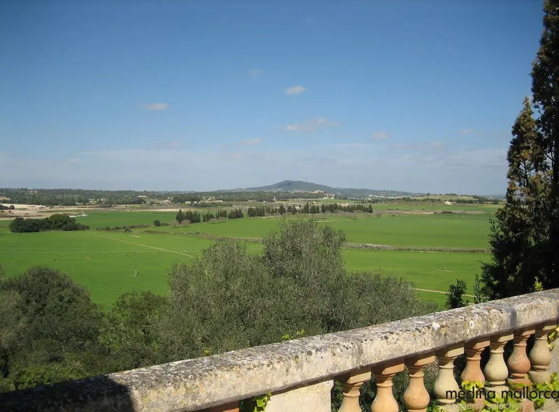 Finca for rent in Felanitx — photo 4