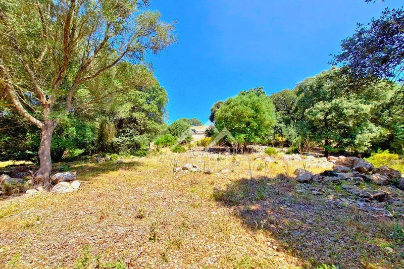 Large Rustic Estate of 266,000 m2 in Artà — photo 11