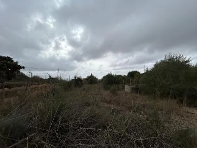 Building Site - Marratxí (Pòrtol), Plot Surface 1131m² — photo 6