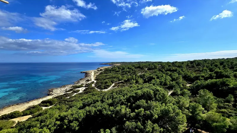 Top property with stunning sea views — photo 9
