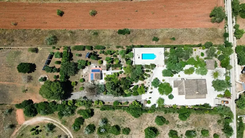 Rustic finca with pool and absolute privacy in Algaida – 7,880 m² of land — photo 4