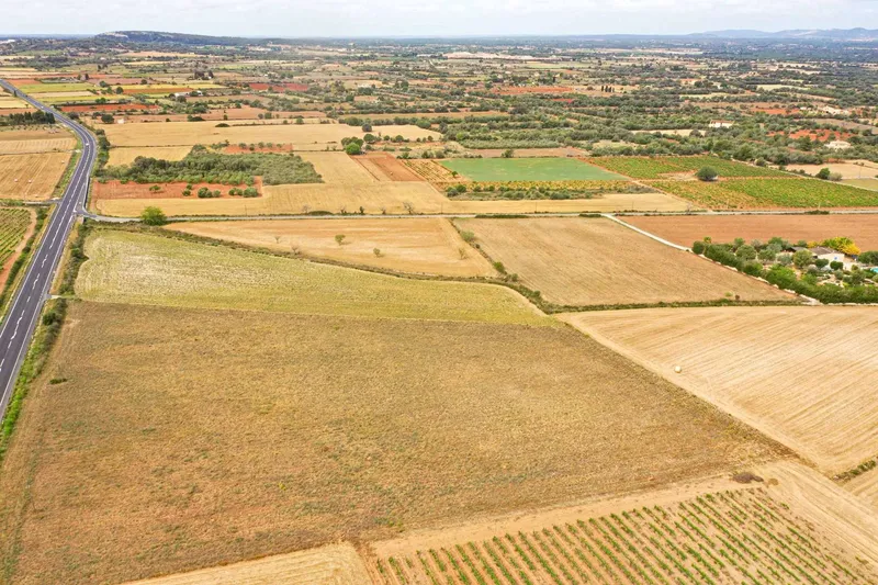 Baugrundstück mit Blick auf Sant Salvador — photo 3