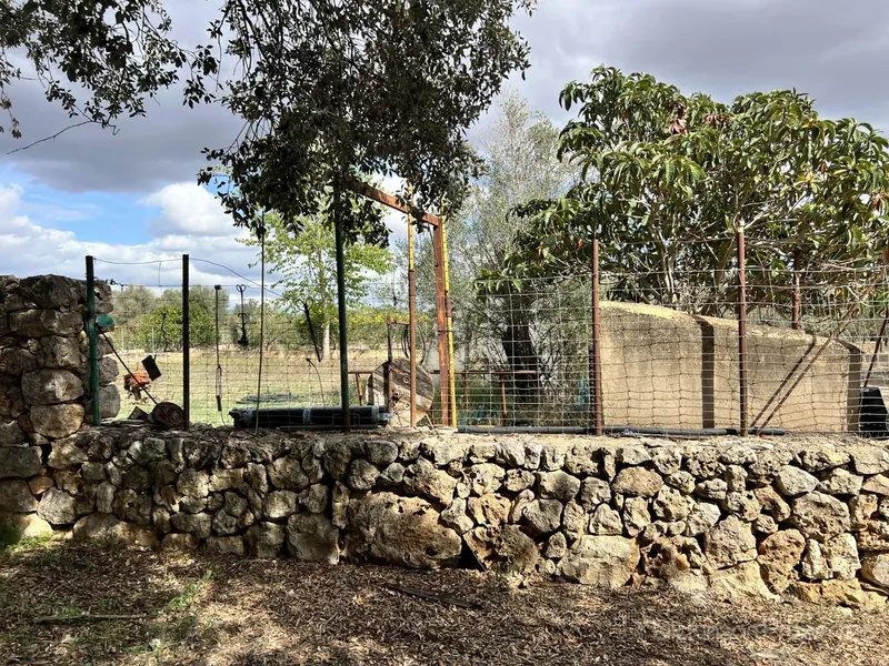 Charming rustic finca in Costitx — photo 10