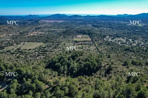 Large countryside plot with old farm house in need of renovation, total privacy and distant sea view in Arta — photo 1