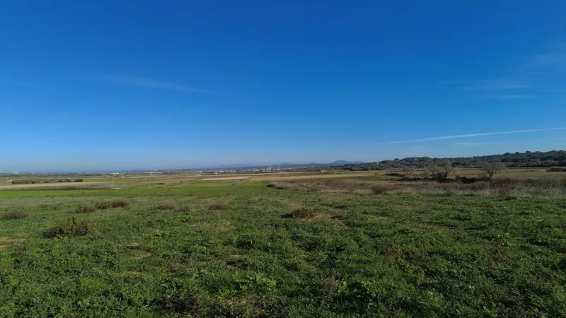 Beautiful plot in Petra with beautiful panoramic views of the Tramuntana mountains — photo 3
