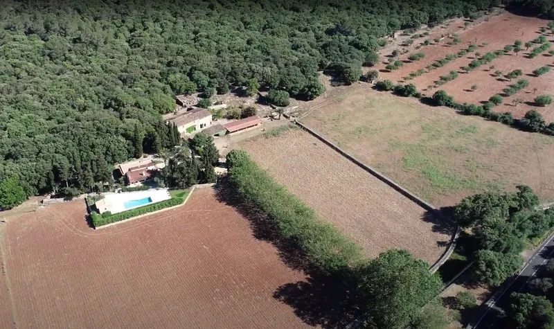 Finca with 2 Houses: Villa with ETV and Possession to Renovate in Cala Sant Vicent — photo 1