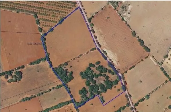Plot with project and building permit between Campos, Porreres and Felanitx — photo 3