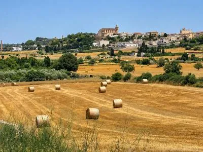 Urbanizable land - Santa Margalida — photo 1