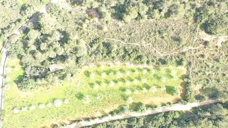 Rustic plot 5 minutes from Porto Petro — photo 6