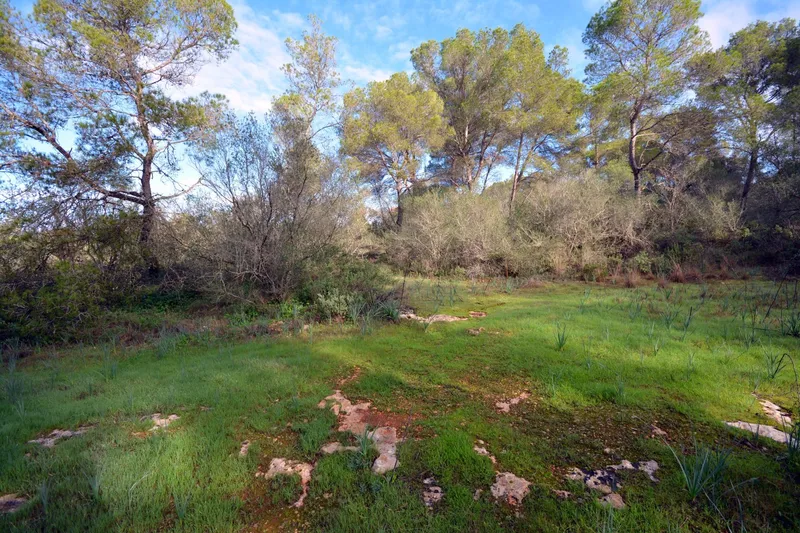Charming Rustic Estate in Casa Blanca — photo 7