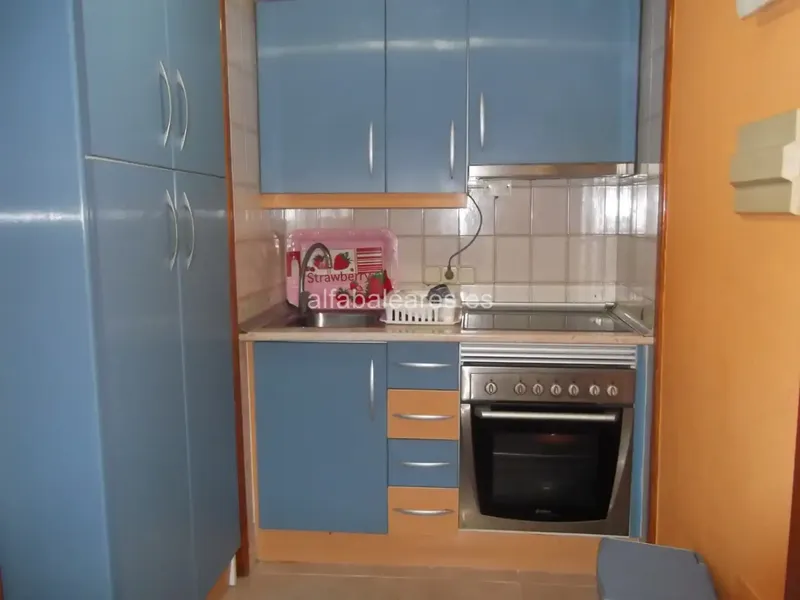 For sale with solvent tenants — photo 4