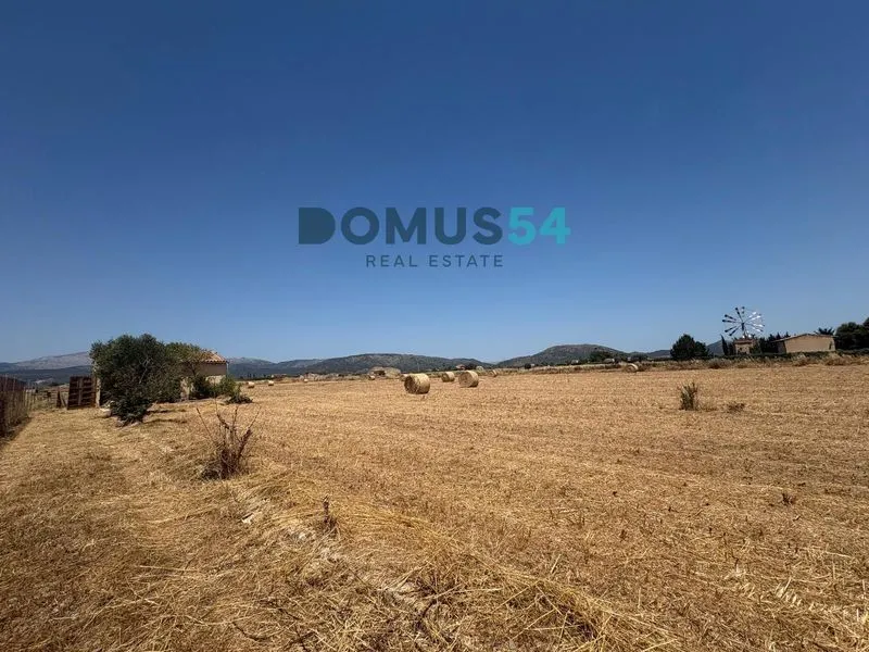 plot in Sa Pobla — photo 1
