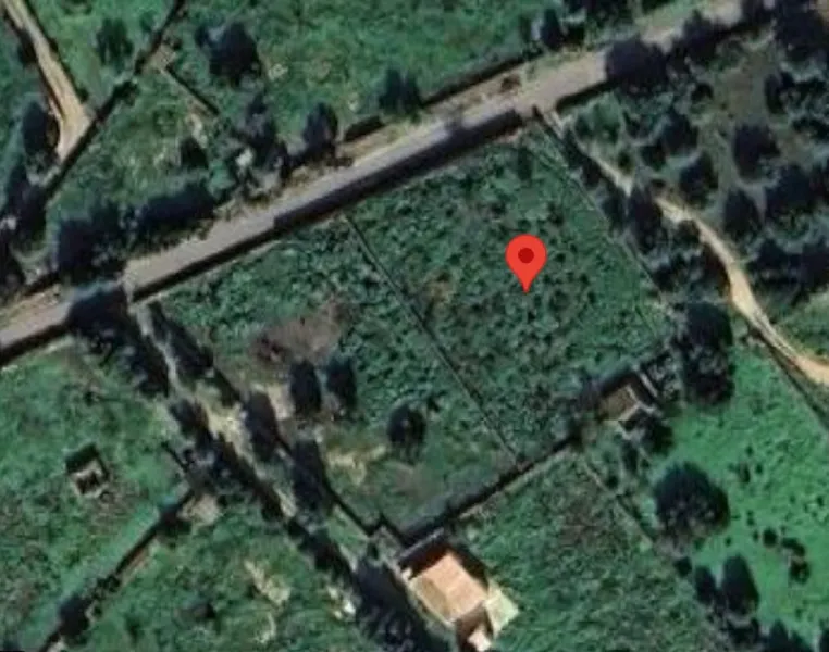 For rent: Plot of 5,000 m² with small house in Santanyí – Ideal for horses — photo 10