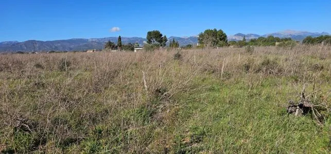 Rural Land - Santa Maria del Cami, Plot Surface 7076m² — photo 9