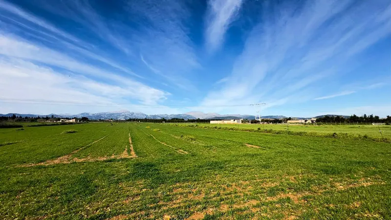 Rustic finca with its own well and 14,186 m² of land in Muro — photo 1