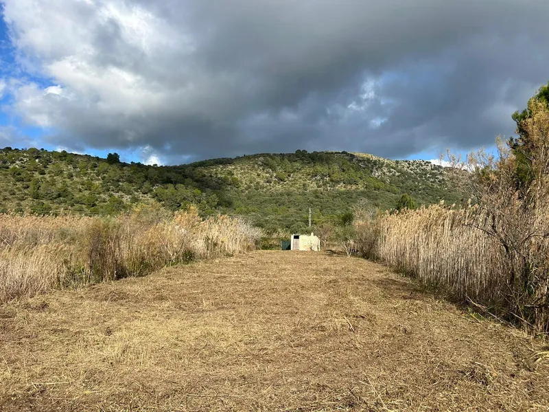 Rustic plot in Sa Pobla — photo 1