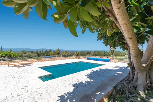 Colonia de San Pedro, Finca with sea views, pool and tennis court near Colònia de Sant Pere — photo 4