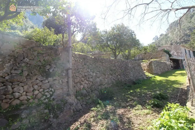 Acquire this rustic finca of 272 m2 and 42,951 m2 of land and create your own paradise in Mallorca. — photo 3