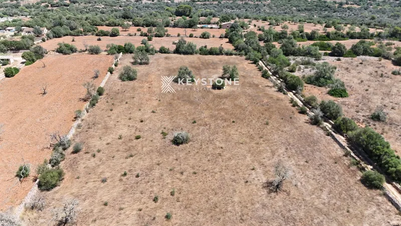 Plot — photo 10