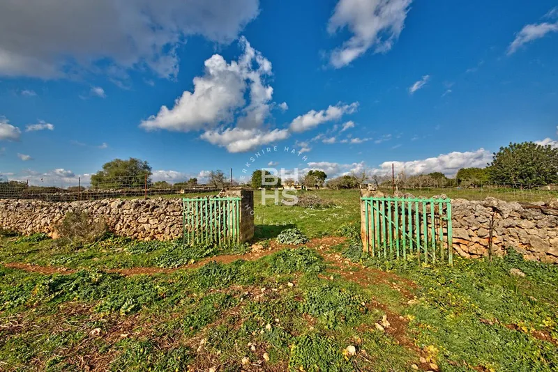 Rustic Finca for sale in María de la Salut — photo 11