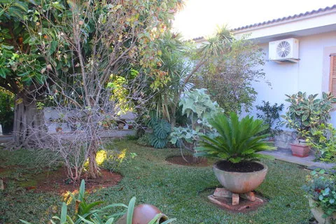Villa in Bunyola, Mallorca — photo 6
