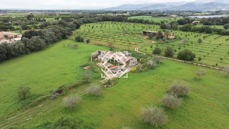 Exclusive rustic finca for sale in Binissalem, Mallorca — photo 5