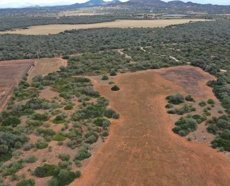 Large plot in a quiet area a few minutes from Santanyi — photo 1