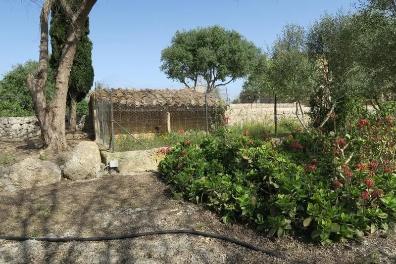 Luxury home in Ariany, Province of Balearic Islands — photo 2