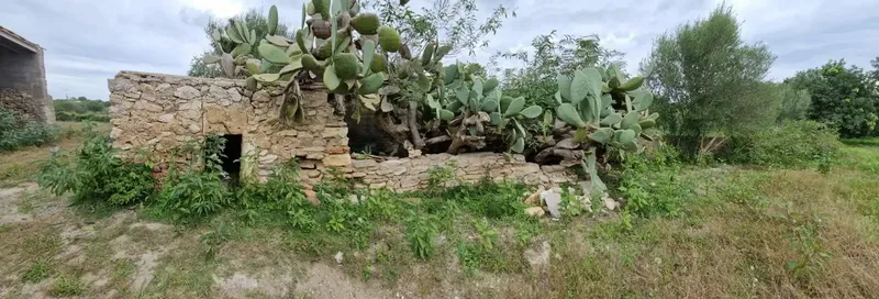 Can Voreta: Authentic Mallorcan estate in one of the best-preserved rural landscapes of northeast Mallorca — photo 8
