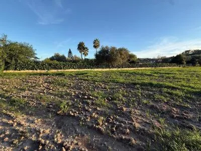 Rural Land - Sant Joan, Plot Surface 2.7892m² — photo 6
