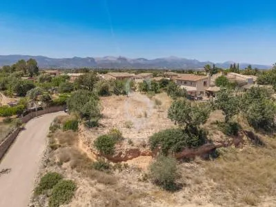 Urban plot of land - Santa Eugènia (Ses Alqueries), plot surface 2241m² — photo 12