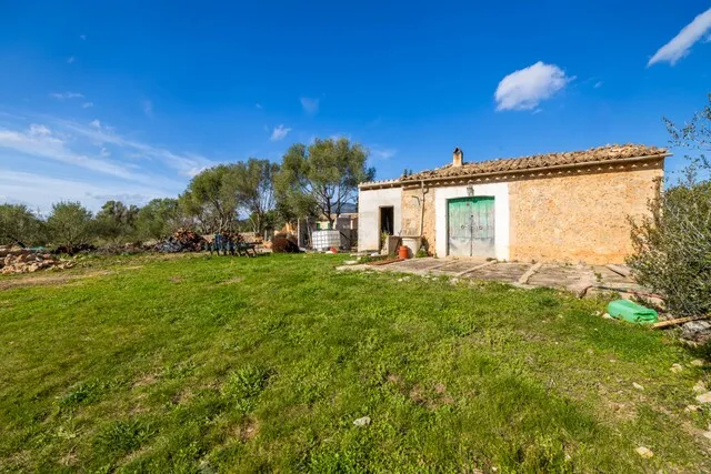 Charming countryside house with fruit trees for sale near Alaró, Mallorca — photo 10