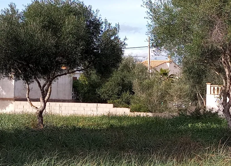 I-4039 Plot of 250 m2 in Sa Ràpita — photo 2