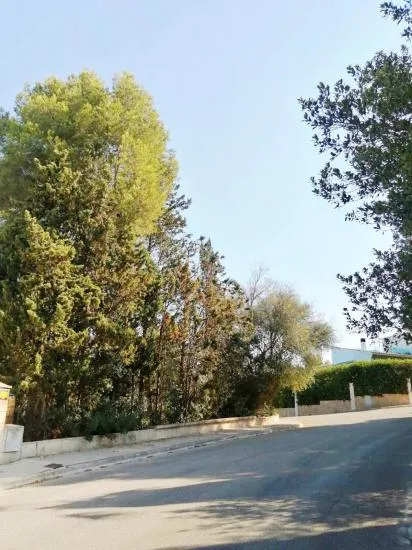 Plot in Bonaire of 530 m2 facing two streets — photo 3