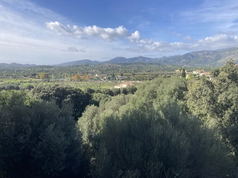 Buildable plot in the picturesque village of Campanet with amazing panoramic views — photo 3