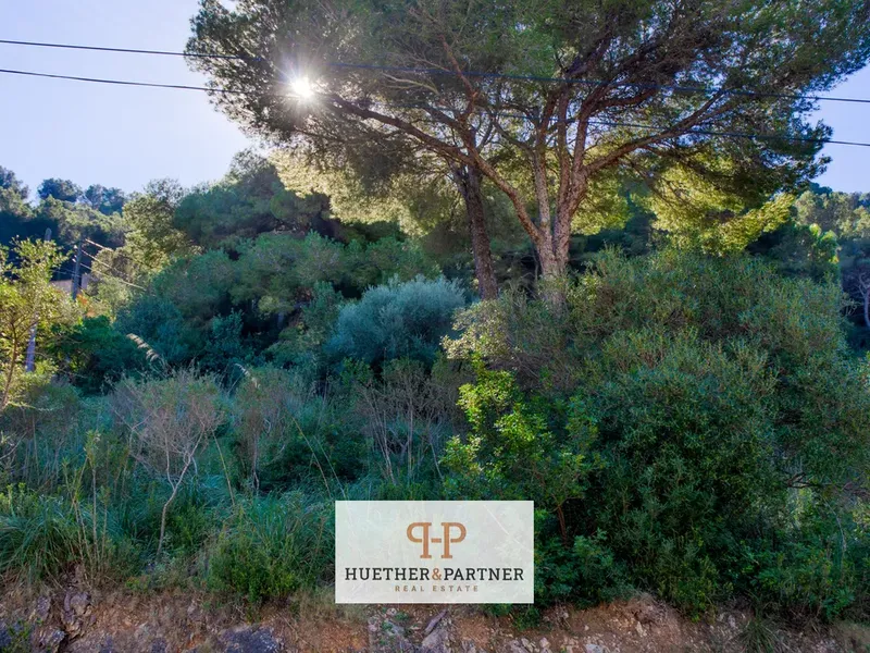 Land in Canyamel, Mallorca — photo 6