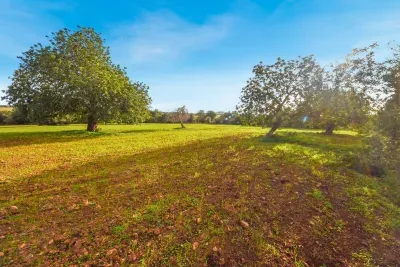 Building plot in Manacor for sale — photo 1