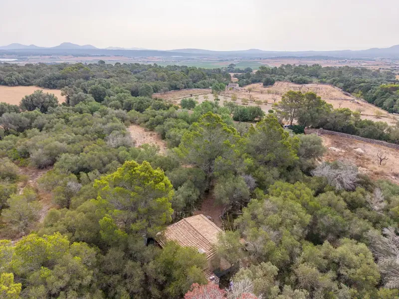 If you are looking for a refuge to enjoy the tranquility of the Mallorcan countryside, surrounded by nature and with excellent connections, this pro — photo 8
