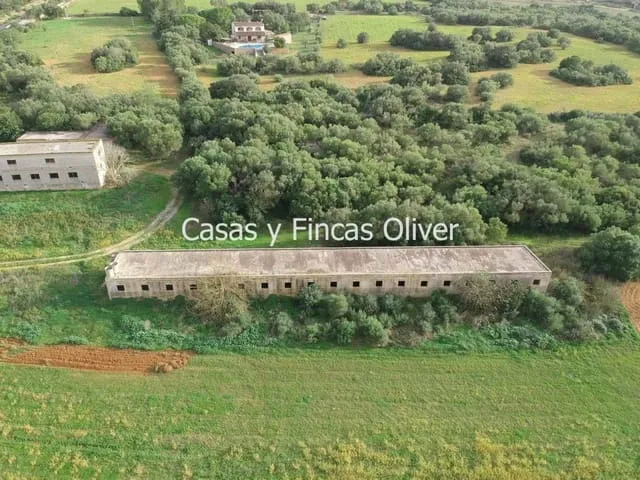 Finca/Country House for sale in Ariany, Mallorca — photo 7