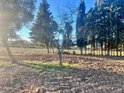 Rustic property - Campanet (Nucleo urbano 55), Built Surface 80m², Plot Surface 4476m² — photo 3