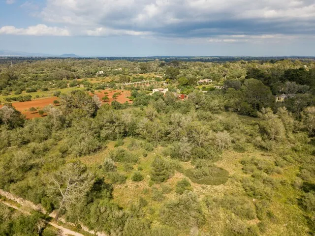 Spacious plot of land for sale in tranquil Algaida, central Mallorca — photo 1