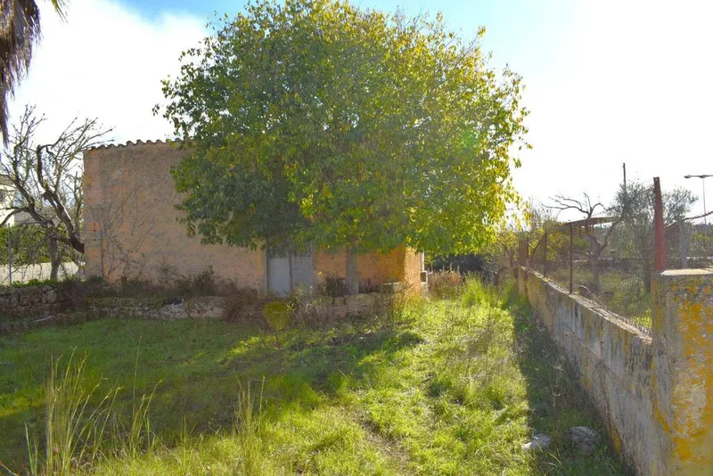Land in Llubí, Province of Balearic Islands — photo 5