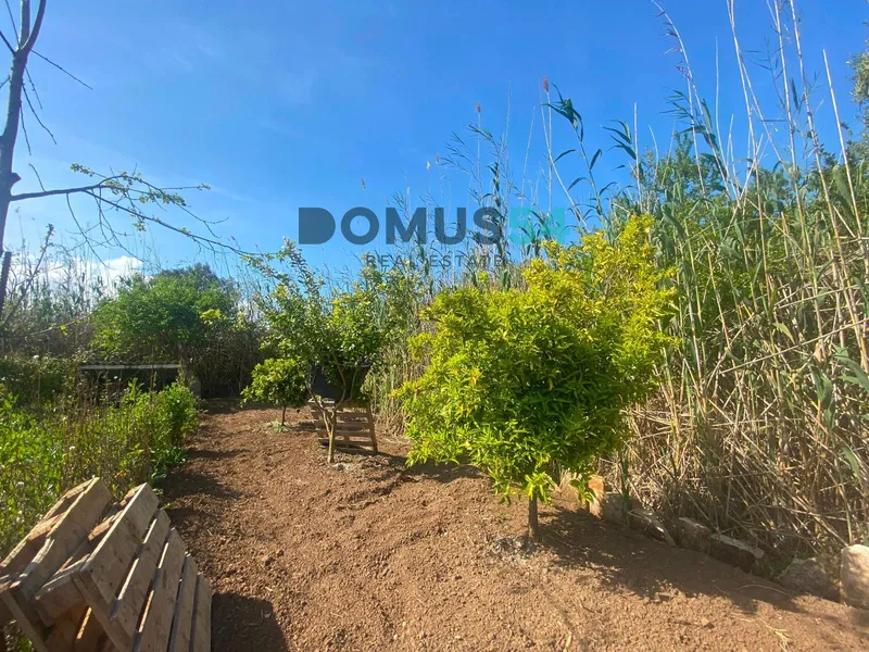 plot in Sa Pobla — photo 5