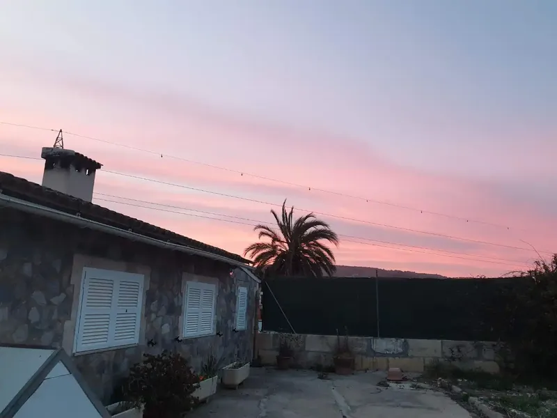 Charming rustic finca for sale – Sa Pobla, Mallorca — photo 1