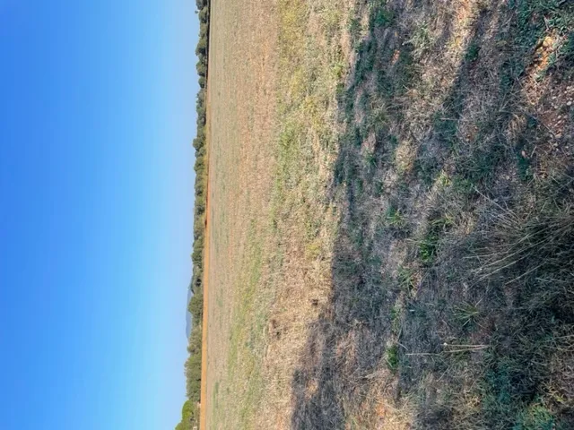Plot with project in Son Valls — photo 4