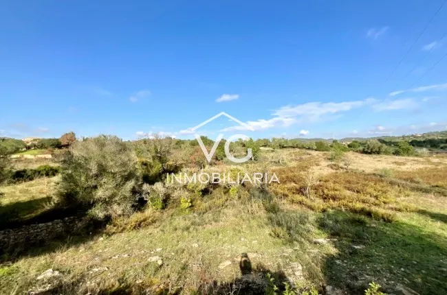 Son Servera · Mallorca — photo 10