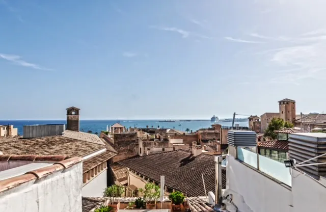 Penthouse with sea views, communal terrace, 2 bedrooms, La Calatrava, Palma Cathedral — photo 3